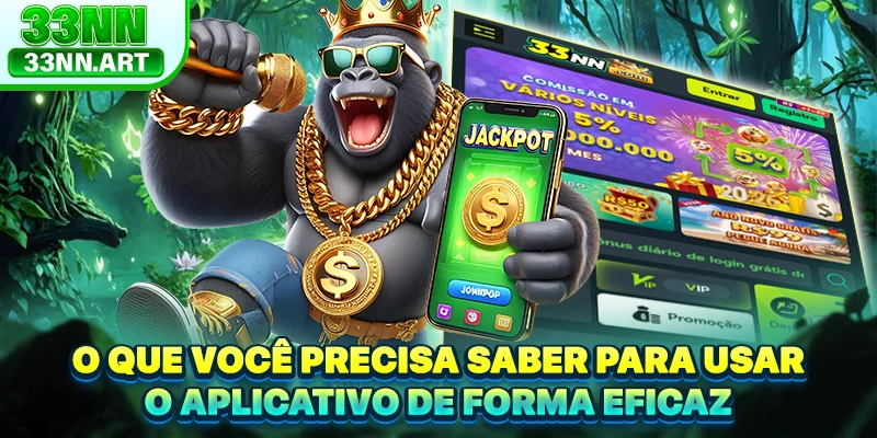 O que você precisa saber para usar o aplicativo de forma eficaz